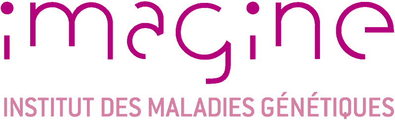 logo Institut Imagine